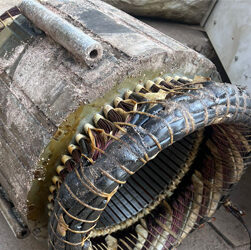 {{brizy_dc_image_alt imageSrc=