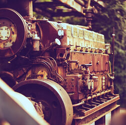 {{brizy_dc_image_alt imageSrc=